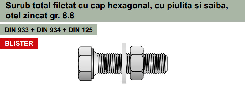 SET SURUB M6x25 SPS.625P (8buc / blister)