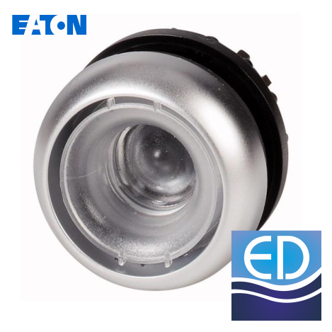 BUTON REVENIRE"CHIOR": M22-D-X